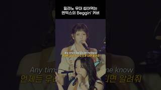 엔믹스 밀라노 무대 씹어 먹는 Beggin 커버 무대 [upl. by Gualtiero]