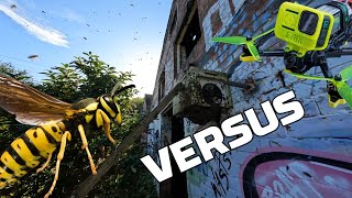 Wasps VS Drone Huge Swarm [upl. by Annoed499]