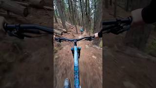 Rere Pia CAP mtb ridebikeshavefunfeelgood bikelife downhill enduro shredding [upl. by Grimaud]