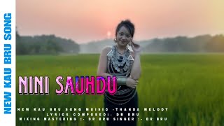 Nini Sauhdu  New kau Bru Official song  Dr Bru  2024 [upl. by Dawna209]