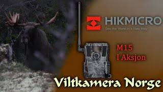 VILTKAMERA I AKSJON  HikMicro M15 [upl. by Deirdra]