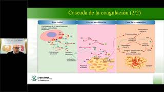 Ictus Aspectos diferenciales Anticoagulantes Orales Santiago Cuéllar [upl. by Paluas]