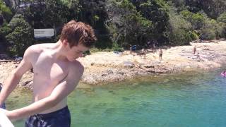 Stingray at Tallebudgera [upl. by Anomar]