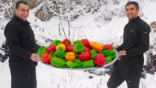 Healthy omelette recipes with vegetables  Wilderness Cooking  Breakfast recipes with eggs [upl. by Ynatterb181]