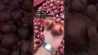 Nasik Onion Market call 7020114773 nashikonionrate nashikonion onionexport onionratetoday n [upl. by Enneyehc]