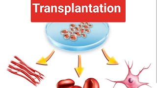 Transplantation Immunologycomplete explanation with Notes by Yogita Yadav [upl. by Nave]