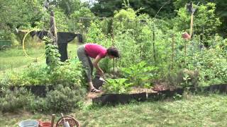 Les traitements naturels au jardin [upl. by Jephthah1]