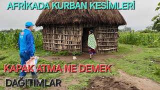 Kurbanlarınız nasıl kesiliyorDITIB ve DIYANET VAKFI Afrika Kurban 2024 [upl. by Arymat]