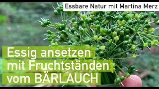 BärlauchfrüchteEssig Mitte Juni ansetzen – das schnellste Rezept meines Blogs [upl. by Sirromed]