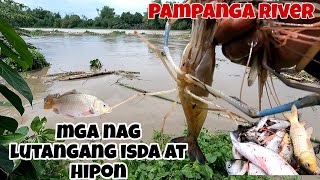 MGA NAGLUTANG ANG MGA ISDA at HIPON sa Pampanga River  Grabi Ang dami  part 2 [upl. by Aicertal720]