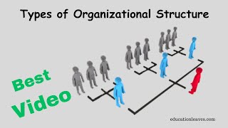 Types of Organizational Structure in management [upl. by Leuams129]