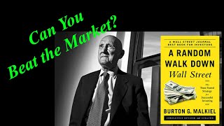 The Random Walk Theory Explained A Random Walk Down Wall Street Audiobook Ch 6 Sum Burton Malkiel [upl. by Ainek]