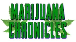 Marijuana Chronicles Ep1 Lighting up in class again  So stupid AskACapper [upl. by Atilam]