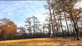 Bastrop State Park [upl. by Lias292]