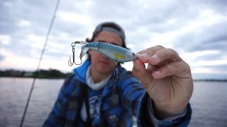 Saltwater Whopper Plopper [upl. by Caye]