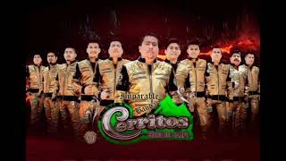 CHIQUITA Imparable Banda Cerritos [upl. by Harding475]