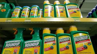 Condenan a Monsanto a pagar 80 millones dólares por quotnegligenciaquot en el uso de Roundup [upl. by Codding]