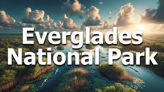 Everglades National Park Florida  Full Travel Guide for 2024 [upl. by Nura]