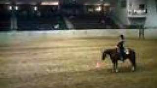 Horse Show  Horsemanship [upl. by Rodgiva]