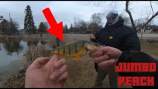 First Jumbo Perch Fishing Trip Of 2024 [upl. by Boyce]