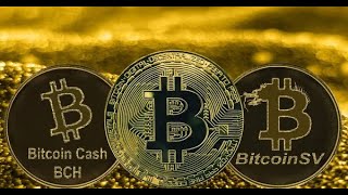 Crypto War BTC vs BCH vs BSV [upl. by Ecertap]