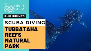 Tubbataha Reefs Natural Park Scuba Diving Liveaboard with MV Resolute [upl. by Ohcamac]