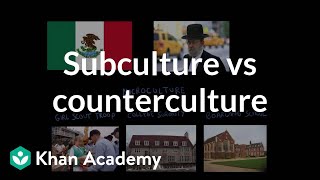 Subculture vs counterculture  Society and Culture  MCAT  Khan Academy [upl. by Rori]