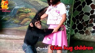 Chimpanzees make their first movie  Natural World The Chimpcam Project Preview  BBC [upl. by Alden]