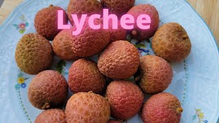 This Is How I Eat Lychee Fruit [upl. by Amsirac556]