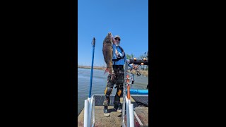 Bowfishing May 18th 2024 Saginaw Day Spawn [upl. by Yankee]