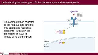 Understanding Type I IFN in Cutaneous Lupus amp Dermatomyositis Toward Better Therapeutics [upl. by Tolkan]