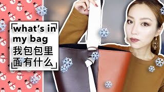 【我包包里有什么？♡ 冬天版  Celine 水桶包】What‘s in My Bag  Winter Version [upl. by Michaud939]