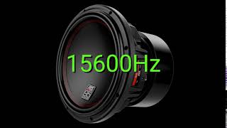 Tone frequency 15600Hz Test your hearing speakersheadphonessubwoofer [upl. by Sucramed]