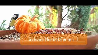 Schöne Herbstferien [upl. by Cleasta817]