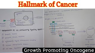 Hallmark of Cancer 14  Growth Promoting Oncogene  Neoplasia [upl. by Davide]