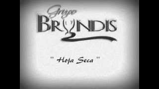 Grupo Bryndis  Hoja Seca [upl. by Oulman]