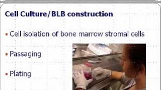 Utilizing Bone Marrow Stromal Cells to Engineer Grafts for Anterior Cruciate Ligament Repair [upl. by Voorhis117]