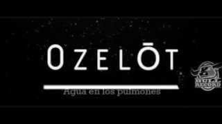 Ozelot  Agua en los pulmones [upl. by Annelise]