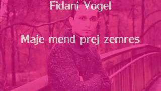 Fidani Vogel  Maje mend prej zemres 2012 [upl. by Blanche]