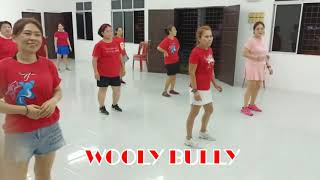 Wooly Bully line dance [upl. by Clio687]