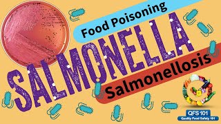 Salmonella Full Details  Symptoms Spread Controls [upl. by Adnarram]