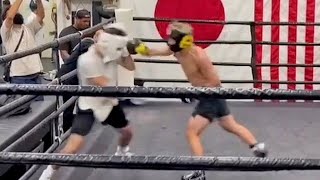 MONSTER SPARRING  NAOYA INOUE LANDING EXPLOSIVE PUNCHES SPARRING AT WILD CARD  井上尚弥スパーリング [upl. by Tamarra115]