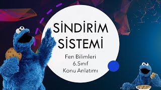 Sindirim Sistemi 1  Fen Bilimleri 6Sınıf Konu Anlatımı [upl. by Avuha]