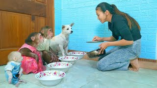 Baby monkeys Su and MiMi wait for food from KuKu and Mom [upl. by Au]