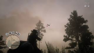 RDR2 Online  Geese locations 5 areas [upl. by Uy632]