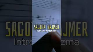 Sagopa Kajmer  Intromantizma [upl. by Kendy]