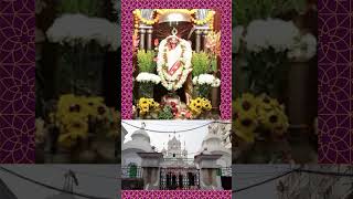 Kali kotha Shree Nistarini Debi Kali Temple episode 12 SFORSTUDY4534 devotional [upl. by Aulea]