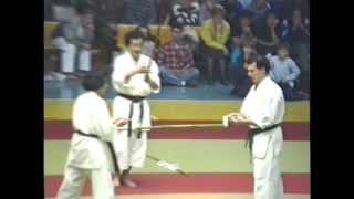 Josinmon Karate Do Sensei Ikeda in Moscow 1992 Cutting bamboo with bokken [upl. by Rubia]