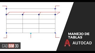 Manejo de tablas con AutoCAD [upl. by Olympia]