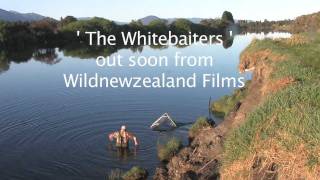 The Whitebaiters  Wildnewzealand Films [upl. by Kelley55]